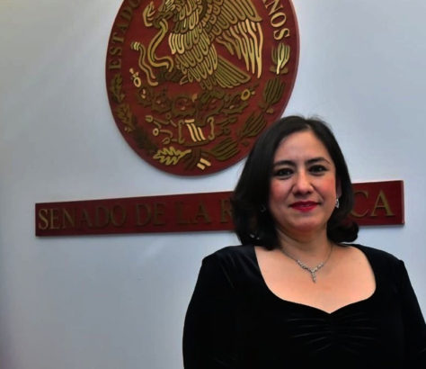 IRma Eréndira Sandoval Ballesteros Senado de la República