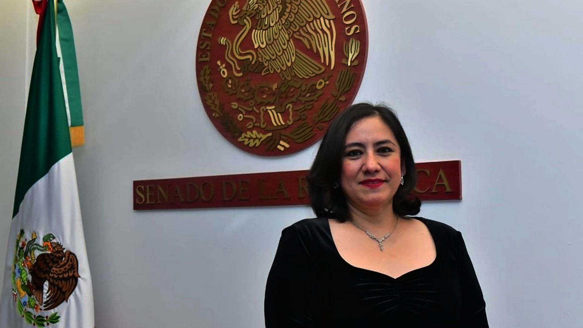 IRma Eréndira Sandoval Ballesteros Senado de la República