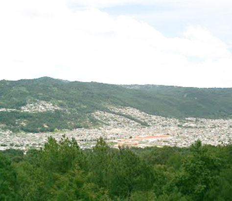 deforestación en san cristobal de las casas